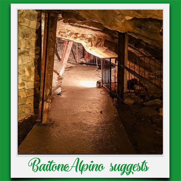 Baitone alpino Suggests: Bolca